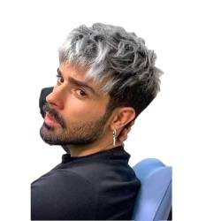 Synthetische Zweifarbige Herren-Perücken, Kurzes Graues Haar, Trendige Synthetische Perücke, Cosplay-Perücke Für Männer Blonde von Sweejim