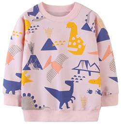 Mädchen Sweatshirt für Kinder Süß Cartoon Pullover Baumwolle Top Langarm T-Shirt Größe 4-5 Jahre von TEDD