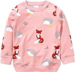 Mädchen Sweatshirt für Kinder Süß Cartoon Pullover Baumwolle Top Langarm T-Shirt Größe 5-6 Jahre von TEDD