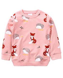 Mädchen Sweatshirt für Kinder Süß Cartoon Pullover Baumwolle Top Langarm T-Shirt Größe 7-8 Jahre von TEDD