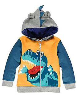 TEDD Jungen Kapuzenpullover Dinosaurier Jacke Kinder Langarm Pullover Baumwolle Sweatshirts mit Reißverschluss 3-4 Jahre von TEDD