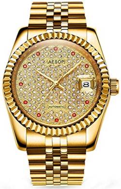 TEINTOP Aesop Armbanduhr Männer Automatik Mechanische Vergrößertes Datum(Gold) von TEINTOP