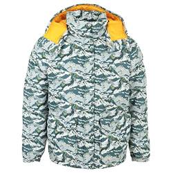 THE NORTH FACE Liberty Sierra Down Jacket, Daunenjacke - S von THE NORTH FACE