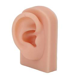 Silikon Ohr Modell Menschlich, Silikon Ohren für Piercing Modell Menschliches Ohr Silikon Ohr Modell Weich Flexibel Rechts Ohr Wiederverwendbar Menschliches Ohr Modell für Ohr Piercing Trainin von TMISHION