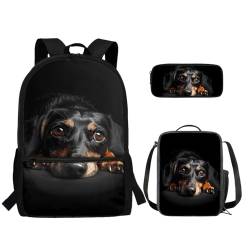 TOADDMOS 3-teiliger Rucksack für Jungen und Mädchen, mit Lunch-Tasche, Federmäppchen, Dackel Hund, Rucksack Backpacks von TOADDMOS