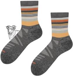 TODO BP COLOR Sehr Dünn Merino Wandersocken Damen und Herren, 70% Merinowolle Trekking-Socken, Atmungsaktiv Outdoor Socken (Sandy Shore, 35-38) von TODO