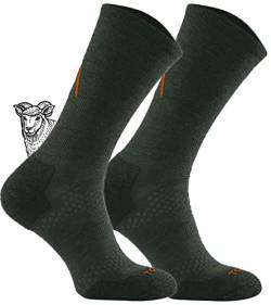 TODO BP LIGHT Dünn Merino Wandersocken für Herren, Damen,Trekking-Socken, Atmungsaktiv, 34% Merinowolle Blend Funktionssocken, Outdoor (39-42, Grün) von TODO