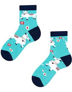 TODO Colours Lustige Socken Kinder mit motiv für Mädchen, Jungen, Kleinkind (Alpaca-Lama Kinder, 23-26) von TODO