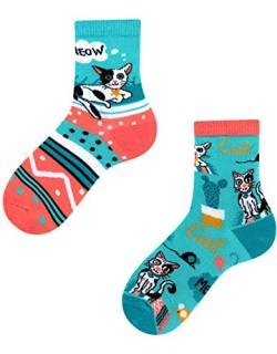 TODO Colours Lustige Socken Kinder mit motiv für Mädchen, Jungen, Kleinkind (Cats Life Kinder, 23-26) von TODO