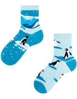 TODO Colours Lustige Socken Kinder mit motiv für Mädchen, Jungen, Kleinkind (Penguins Kinder, 31-34) von TODO
