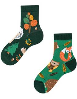 TODO Colours Lustige Socken Kinder mit motiv für Mädchen, Jungen, Kleinkind (Waldtiere Kinder, 23-26) von TODO