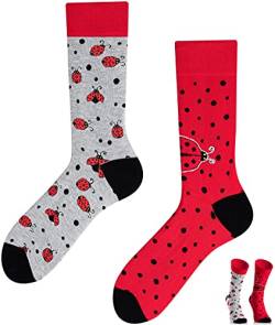 TODO Colours Lustige Socken mit Motiv - Mehrfarbige, Bunte, Verrückte für Herren und Damen (35-38, Ladybug Socken) von TODO