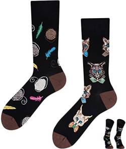 TODO Colours Lustige Socken mit Motiv - Mehrfarbige, Bunte, Verrückte für die Lebensfreude (35-38, Katzen in der Fliegen, numeric_35) von TODO