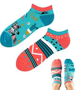 TODO Colours Lustige Socken mit Motiv - Mehrfarbige, Bunte, Verrückte für die Lebensfreude (39-42, z LOW Cats Life, numeric_39) von TODO