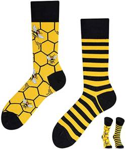 TODO Colours Lustige Socken mit Motiv - mehrfarbige, bunte, Verrückte für Herren und Damen (39-42, Bienen Socken) von TODO