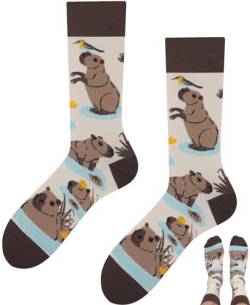 TODO Lustige Capybara Socken Herren und Wasserschwein Socken Damen, Coole Motiv Socken Lustig, Bunte, Verrückte (43-46, Wasserschwein) von TODO