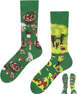 TODO Lustige Socken Damen und Herren, Coole Socken mit Motiv - Bunte, Mehrfarbige, Verrückte (35-38, Pilzsammler) von TODO