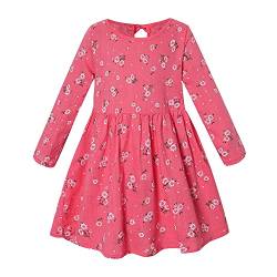 Mädchen Kleider Langarm Baumwolle Cute Blumen Kleider Casual Gedruckt T Shirt Kleid Langarmshirt Baby Mädchen Kleider Herbst Langarmshirt Kinder Casual Kleid Rosen 3-4 Jahre von TOKYMOON