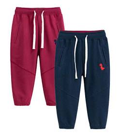 TOKYMOON 2er Pack Kinder Jogginghose Jungen Baumwolle Sweathose Dinosaurier Karikatur Gedruckt Hosen Kinder Sporthose Jogger Hose Jogger Pants 1-7 Jahre Dinosaurier 1 120 von TOKYMOON