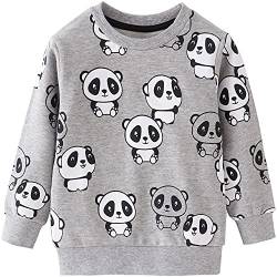 TOKYMOON Baby Jungen Sweatshirt Kinder Jungen Langarm Baumwolle Kinder Pullover Warme T-Shirt Langarmshirt für Jungen Streetwear Activewear 1-7 Jahre Panda 104-110 von TOKYMOON