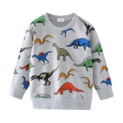 TOKYMOON Baby Jungen Sweatshirt Kinder Warme Pullover Jumper Oberbekleidung 1-7 Jahre Dinosaurier Pullover Digger T-Shirt Langarmshirt für Jungen Langarm Top Sweat Streetwear Dinosaurier 98 von TOKYMOON