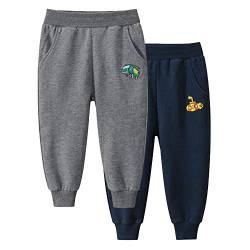 TOKYMOON Jungen Jogginghose Baumwolle Kinder Sweathose Dinosaurier Gedruckt Freizeithose 2er Pack Kinder Junge Sweathose Kids Sporthose Jogger Pants Hose Babyhose Jogginghose Grau Blau 140 von TOKYMOON