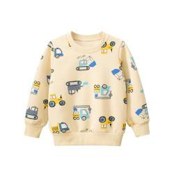 TOKYMOON Jungen Sweatshirt Kinder Dinosaurier Pullover Rundhals Sweater Baumwolle Warme T-Shirt Langarmshirt für Jungen Sweat Streetwear Jungen Pullover Kinder Langarm T Shirts Bagger 110 von TOKYMOON