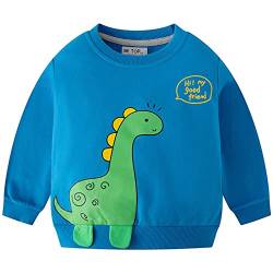 TOKYMOON Jungen Sweatshirt Kinder Dinosaurier Pullover Sweater Baumwolle T-Shirt Langarmshirt für Jungen Langarm Top Sweat Streetwear Jungen Pullover Kinder Blau+grün 98-104 von TOKYMOON