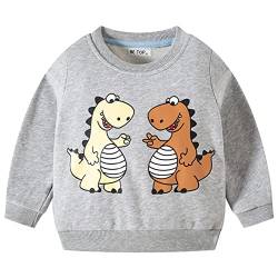 TOKYMOON Jungen Sweatshirt Kinder Dinosaurier Pullover Sweater Baumwolle T-Shirt Langarmshirt für Jungen Langarm Top Sweat Streetwear Jungen Pullover Kinder Grauer Dinosaurier 98-104 von TOKYMOON