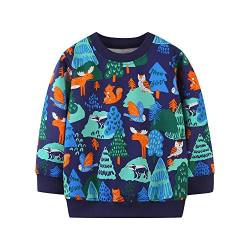 TOKYMOON Jungen Sweatshirt Pullover Baumwolle T-Shirt Kinder Langarmshirts Dinosaurier Kinder Sweatshirt Weihnachtspullover Warme Top Sweat Streetwear Oberbekleidung Tier 130 von TOKYMOON