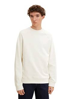 TOM TAILOR Denim Herren Sweater mit Struktur 1034100, 10338 - Soft Light Beige, L von TOM TAILOR Denim