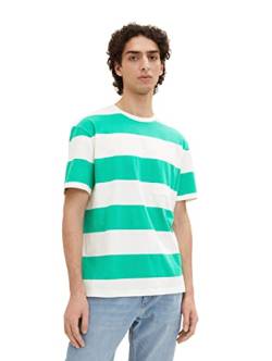 TOM TAILOR Denim Herren T-Shirt 1035597, 31363 - Green Large Stripe, L von TOM TAILOR Denim