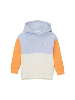 TOM TAILOR Jungen 1038303 Colorblock Hoodie mit Dinosaurier-Print, 12819-Parisienne Blue, 104/110 von TOM TAILOR