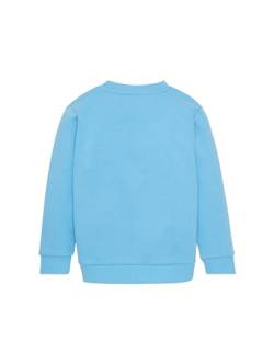 TOM TAILOR Jungen Kinder Sweatshirt mit Dinosaurier-Print , rainy sky blue, 92/98 von TOM TAILOR