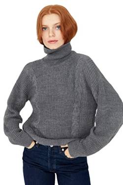 Trendyol Damen Rollkragenpullover, schlicht, entspannt Sweatshirt, anthrazit, S von TRENDYOL