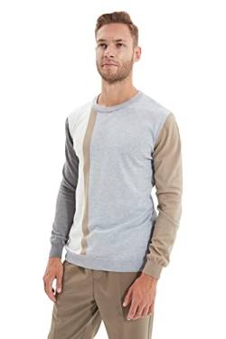 Trendyol Herren Colorblock Slim Sweater mit Rundhalsausschnitt Sweatshirt, grau, L von TRENDYOL