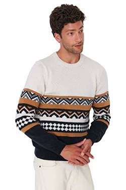 Trendyol Herren Slim Sweater mit Rundhalsausschnitt und Colorblock Sweatshirt, Natur, Large von TRENDYOL