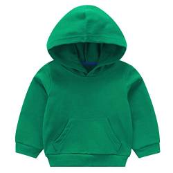 Taigood Baby Sweatshirt Frühling Winter Warm Hoodie für Kinder,Jungen Tops Pyjama und Mädchen Pullover von Taigood