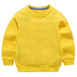 Taigood Kinder Pullover für Jungen Baumwolle Sweatshirt Langarm T Shirts Pullover Herbst Winter Alter 1-7 Jahre Gelb 100cm/2-3Jahre von Taigood