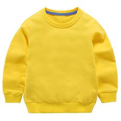 Taigood Kinder Pullover für Jungen Baumwolle Sweatshirt Langarm T Shirts Pullover Herbst Winter Alter 1-7 Jahre Gelb 140cm/6-7Jahre von Taigood