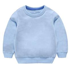 Taigood Kinder Pullover für Jungen Baumwolle Sweatshirt Langarm T Shirts Pullover Herbst Winter Alter 1-7 Jahre Hellblau 100cm/2-3Jahre von Taigood