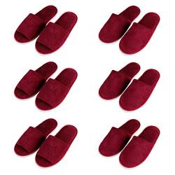 Teceyfeet 6 Paars Gästehausschuhe Set, Hotelslipper Hausschuhe Set Hochwertig Hotelslipper Badeslipper für Damen und Herren von Teceyfeet