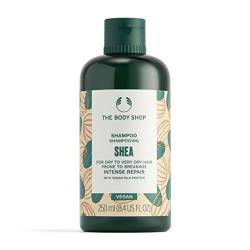 The Body Shop Shea Butter Richly Replenishing Shampoo 250 ml – perfekt für trockenes Haar, das anfällig für Schäden ist von The Body Shop