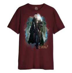 The Lord Of The Rings Herren Melotrmts016 T-Shirt, Burgunderrot, L von The Lord Of The Rings