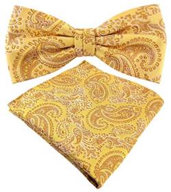 TigerTie Designer Seidenfliege + Einstecktuch Seide gold gelbgold silber Paisley von TigerTie