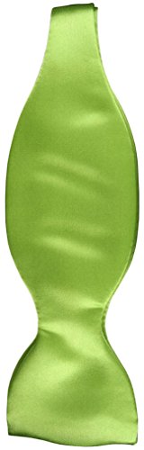 TigerTie Selbstbinder Seidenfliege in hellgrün einfarbig Uni, Spitzenqualität, Querbinder 100% Seide + Aufbewahrungsbox von TigerTie