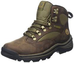 Timberland Damen Chocorua Trail Goretex Chukka Boots, Braun (Dark Brown/Green), 37 EU von Timberland