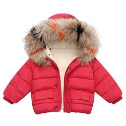 TinaDeer Unisex Baby Winter Jacke Mantel mit Pelzkragen Kapuze Mädchen Jungen Daunenjacke Daunenmantel Winterjacke Steppjacke Outwear Warme Oberbekleidung 1-5 Jahre (Rot, 18-24 Monate) von TinaDeer