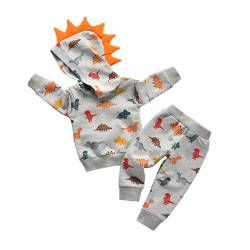 Tinykeke Baby Jungen Bekleidungssets Kleinkind Kapuzen Sweatshirt mit Dinosaurier-Print + Hosen 2 tlg Babykleidung Set 3-6 Monate von Tinykeke