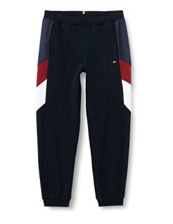 Tommy Hilfiger Herren Seasonal Pant MW0MW27548 Jogginghosen, Blau (Desert Sky), XL von Tommy Hilfiger